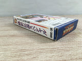 Fatal Fury Special Boxed Nintendo Super Famicom SNES Japan - UF7253