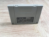 Harvest Moon Bokujou Monogatari Boxed Nintendo Super Famicom SNES Japan - UF7281