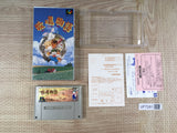 Harvest Moon Bokujou Monogatari Boxed Nintendo Super Famicom SNES Japan - UF7281