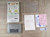 Harvest Moon Bokujou Monogatari Boxed Nintendo Super Famicom SNES Japan - UF7281