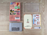 Super Mario World 2 Yoshi's Island Boxed Super Famicom SNES Japan - UF7299