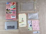 Super Mario World 2 Yoshi's Island Boxed Super Famicom SNES Japan - UF7300