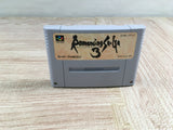 Romancing Sa Ga 3 Boxed Nintendo Super Famicom SNES Japan - UF7312