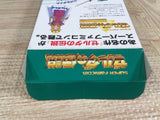 The Legend Of Zelda A Link to the Past Boxed Super Famicom SNES Japan - UF7324