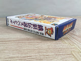 Fatal Fury Special Boxed Nintendo Super Famicom SNES Japan - UF7336