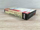Super Fire Pro Wrestling Boxed Nintendo Super Famicom SNES Japan - UF7338
