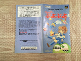 Super Puyo Puyo Boxed Nintendo Super Famicom SNES Japan - UF7348