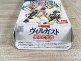 Kouryuu Densetsu Villgust Kieta Shoujo Boxed Super Famicom SNES Japan - UF7417