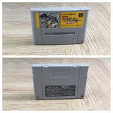 Kouryuu Densetsu Villgust Kieta Shoujo Boxed Super Famicom SNES Japan - UF7417