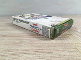 Kouryuu Densetsu Villgust Kieta Shoujo Boxed Super Famicom SNES Japan - UF7417