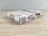 Kouryuu Densetsu Villgust Kieta Shoujo Boxed Super Famicom SNES Japan - UF7417