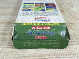 Kouryuu Densetsu Villgust Kieta Shoujo Boxed Super Famicom SNES Japan - UF7417