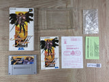 Silva Saga 2 Boxed Super Famicom SNES Japan - UF7419