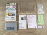 Silva Saga 2 Boxed Super Famicom SNES Japan - UF7419