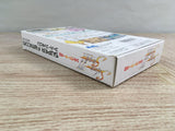 Silva Saga 2 Boxed Super Famicom SNES Japan - UF7419