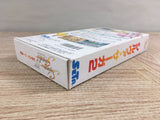 Silva Saga 2 Boxed Super Famicom SNES Japan - UF7419
