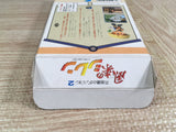 Mystery Dungeon Fushigi no Dungeon 2 Boxed Super Famicom SNES Japan - UF7424