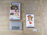 Fatal Fury Special Boxed Nintendo Super Famicom SNES Japan - UF7439