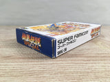 Fatal Fury Special Boxed Nintendo Super Famicom SNES Japan - UF7439