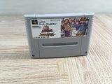 JinseiGekijou Zukkoke SalaryMan Boxed Super Famicom SNES Japan - UF7462