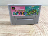 Super Mario World 2 Yoshi's Island Boxed Super Famicom SNES Japan - UF7500