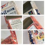 Dragon Quest VI 6 Boxed Nintendo Super Famicom SNES Japan - UF7505