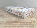 Silva Saga 2 Boxed Super Famicom SNES Japan - UF7518