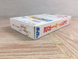 Silva Saga 2 Boxed Super Famicom SNES Japan - UF7518