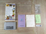 Torneco no Daibouken Fushigi no Dungeon Boxed Super Famicom SNES Japan - UF7524