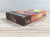 Disney's Beauty and the Beast Boxed Nintendo Super Famicom SNES Japan - UF7535