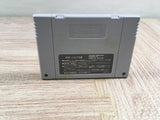 Exhaust Heat F1 ROC Race of Champions Boxed Super Famicom SNES Japan - UF7562
