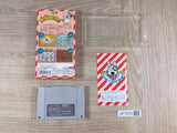 Heisei Inu Monogatari Bow Pop'n Smash!! Boxed Super Famicom SNES Japan - UF7570
