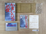 Banshee's Last Cry Kamaitachi no Yoru Boxed Super Famicom SNES Japan - UF7575