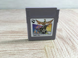 Hiryu no Ken Gaiden Boxed Nintendo GameBoy Japan - UF7596