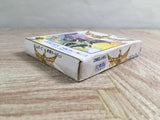 Hiryu no Ken Gaiden Boxed Nintendo GameBoy Japan - UF7596