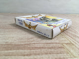 Hiryu no Ken Gaiden Boxed Nintendo GameBoy Japan - UF7596