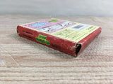 Motocross Maniacs Boxed Nintendo GameBoy Japan - UF7597
