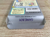 Tetris Flash Boxed Nintendo GameBoy Japan - UF7604