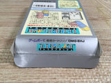 Tetris Flash Boxed Nintendo GameBoy Japan - UF7604