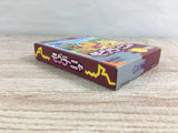 Mole Mania Boxed Nintendo GameBoy Japan - UF7606