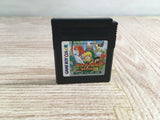 The Legend of Zelda Link's Awakening DX Boxed Nintendo GameBoy Japan - UF7608