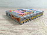 Aighina no Yogen FromTheLegend of Balubalouk Boxed Famicom NES Japan - UF7647