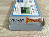 Aighina no Yogen FromTheLegend of Balubalouk Boxed Famicom NES Japan - UF7647