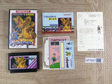 Dragon Buster 2 Boxed Nintendo Famicom NES Japan - UF7657