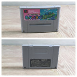 Super Mario World 2 Yoshi's Island Boxed Super Famicom SNES Japan - UF7665