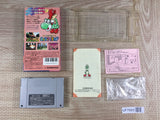 Super Mario World 2 Yoshi's Island Boxed Super Famicom SNES Japan - UF7665
