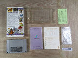 Torneco no Daibouken Fushigi no Dungeon Boxed Super Famicom SNES Japan - UF7690