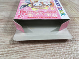 Kawaii Pet Shop Monogatari 2 Boxed Nintendo GameBoy Japan - UF7741