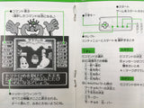 Princess Tomato in the Salad Kingdom Boxed Nintendo Famicom NES Japan - UF7774