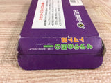 Princess Tomato in the Salad Kingdom Boxed Nintendo Famicom NES Japan - UF7774